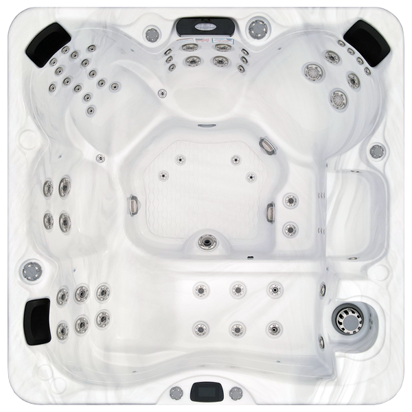 Avalon-X EC-867LX hot tubs for sale in Goldsboro