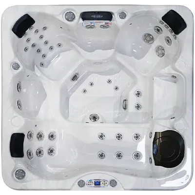 Avalon EC-849L hot tubs for sale in Goldsboro