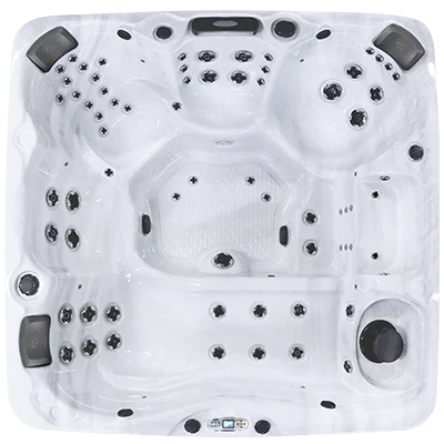 Avalon EC-867L hot tubs for sale in Goldsboro